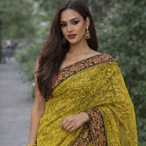 Sheer Embroidered Lime Green Sari